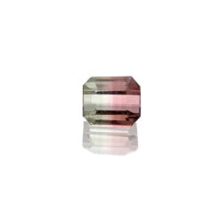 1.25ct Bi-Colour Watermalon Tourmaline