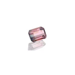 0.82ct Bi-ColourTourmaline