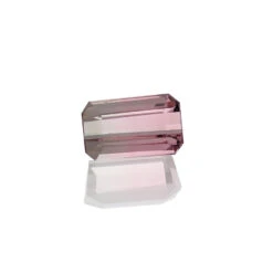 1.47ct Bi-ColourTourmaline