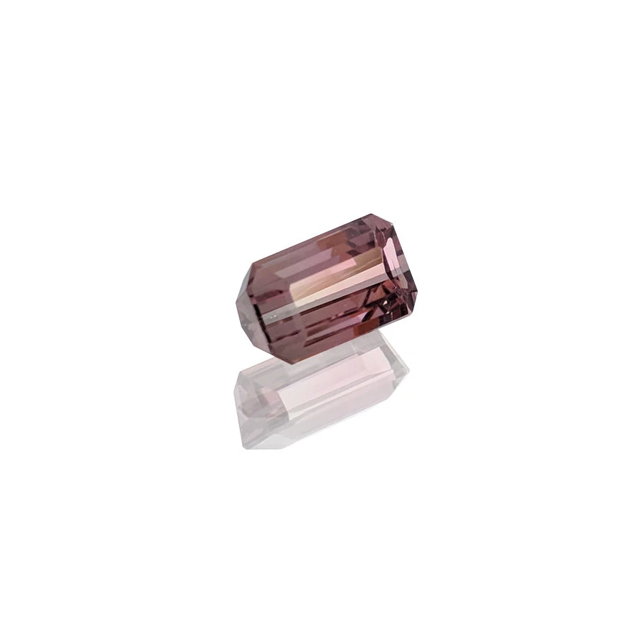 1.47ct Bi-ColourTourmaline 4 1.47ct Bi-ColourTourmaline - Image 2