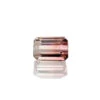 0.72ct Bi-Colour Tourmaline 1 0.72ct Bi-Colour Tourmaline -Jayde Jewelry Outlet N73240090
