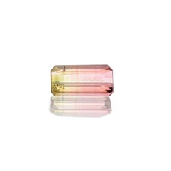 0.80ct Bi-Colour Tourmaline